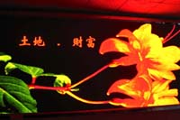MKS 背光效应型