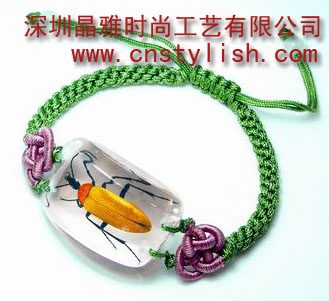 供应个性时尚昆虫琥珀饰品