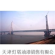 天津塘沽区滨海大桥