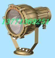 供应防爆灯具 SBD3110 防爆投光灯