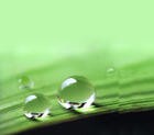 供应天然保湿因子
