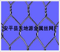 供应镀锌六角网、黑铁丝六角网、正反捻六角网