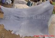 阿根廷羊盐湿皮整柜含税进口清关