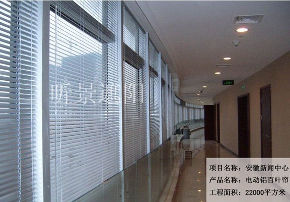 供应铝合金百叶帘 木制百叶帘 电动天棚 帘 