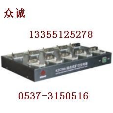 10组合矿灯充电器