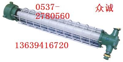 供应DGS-20／127Y矿用隔爆型荧光灯 
