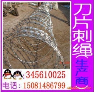 供应热镀锌钢丝刀片刺绳 刀片刺网 不锈钢刀片刺绳 平板刀片刺网