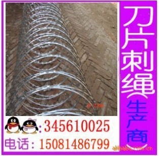 供应供应监狱防护护栏网 机场护栏防攀爬网 热镀锌刀片刺绳