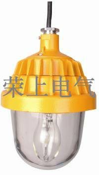 供应BPC8720 防爆平台灯，防爆道路灯，防爆路灯