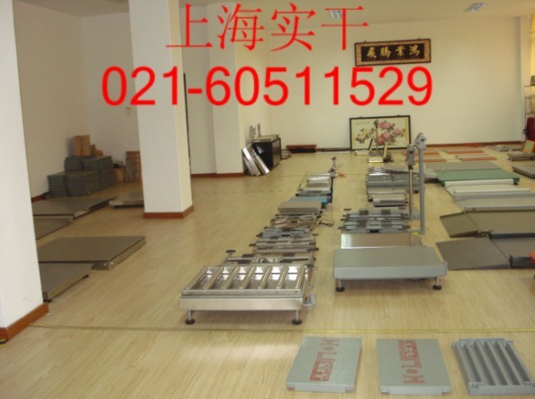 供应500kg高度可调双层地秤，电子秤