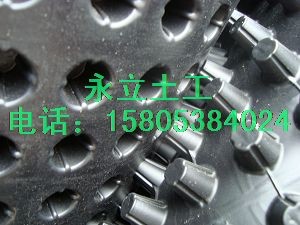 供应夹层塑料板￥绿化排水板￥块状排水板
