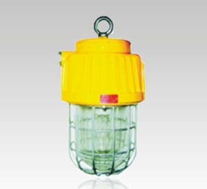 供应海洋王照明灯具DGS70/127B（B）矿用隔爆型泛光灯|品牌灯具|专业灯 