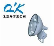 供应海洋王ZT6900 防水防尘防震投光灯强光灯海洋王照明