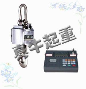 供应无线数传式电子吊钩秤|无线电子吊钩秤