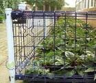 供应便宜的双圈护栏网