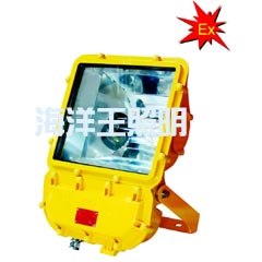 供应海洋王BFC8110防爆泛光灯 海洋王照明 海洋王灯具
