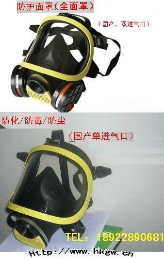 供应全面罩 防毒面具（国产)