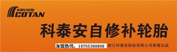 供应科泰安自修补安全轮胎