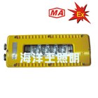 供应海洋王 DGS10/127L（A）海洋王防爆灯具