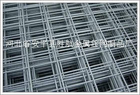 供应不锈钢钢丝网焊接 钢丝网 