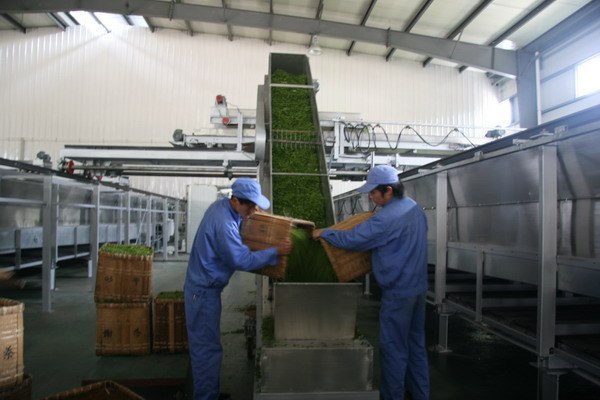 供应茶叶生产线国外搬迁代理