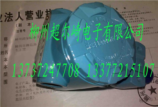 供应MPM416W型投入式液位变送器