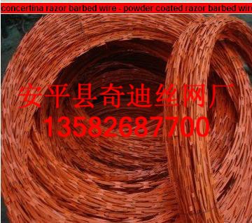 供应喷塑刀片刺网，监狱防护网，护栏网