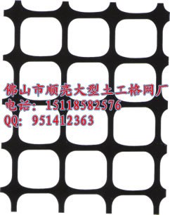 供应佛山煤矿土工格栅网
