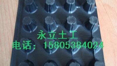 供应安徽排水板 合肥塑料排水板专卖【图】