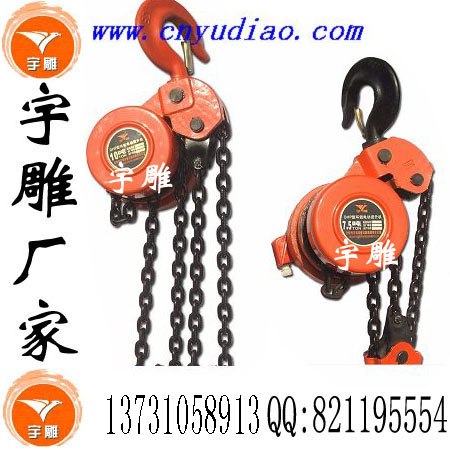 DHP环链电葫芦_同步环链电动葫芦河北热销中