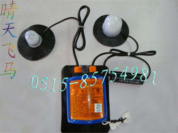 供应救生筏灯 筏灯 DEFD-96-B1 新型救生筏灯 价格 厂家