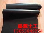 供应新型防水材料HDPE土工膜 