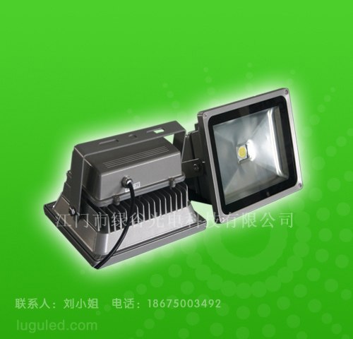 供应LED投光灯/泛光灯/投射灯,LED灯具