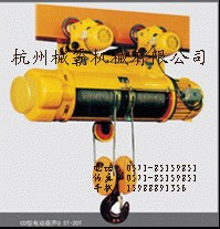 供应钢丝绳电动葫芦