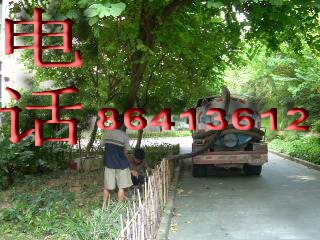 余杭抽粪车抽粪“余杭区”高压清洗污水管道=C清理化粪池