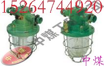 供应DGS-60/127系列隔爆型白炽灯