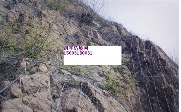 供应批发钢绳网|钢丝绳编织网