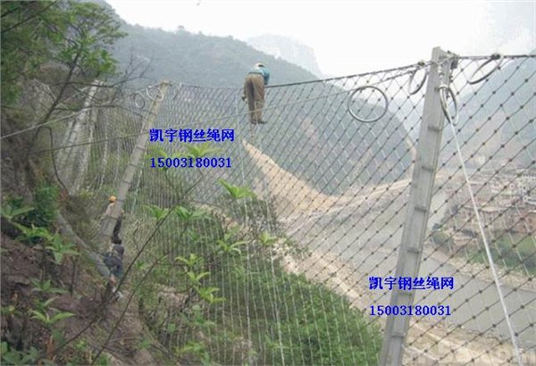 供应动物园专用钢丝绳网|动物围网