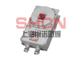 供应BDZ52-系列防爆(漏电）断路器(IIB/IIC)