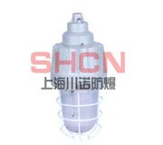 供应BAD59-系列防爆灯