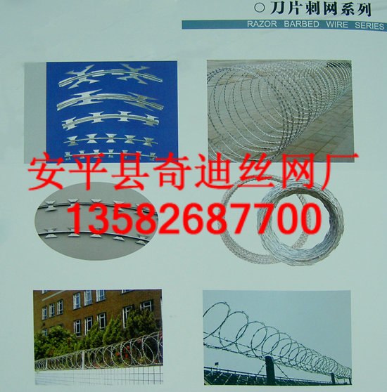 供应刀片刺网 刀片刺绳