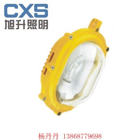 防爆泛光灯 防爆强光泛光灯 工厂灯