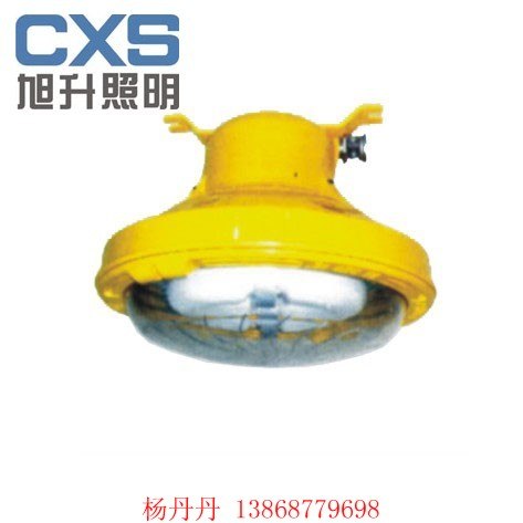 CBFC8182无极灯 长寿低耗防爆灯 加油站灯