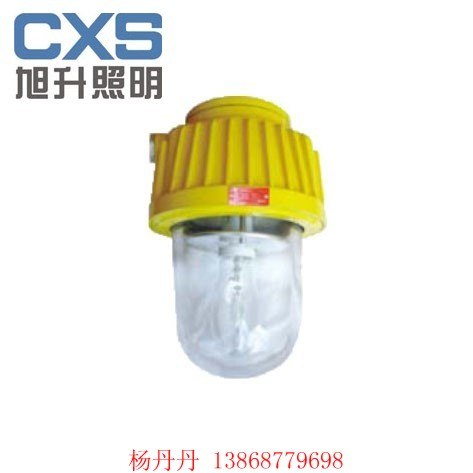 供应矿用灯 防爆泛光灯