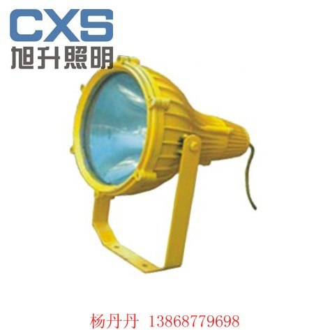 供应防爆投光灯 ，工矿灯， 飞利浦投光灯 