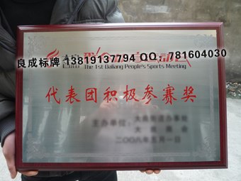 供应杭州金箔奖牌 杭州不锈钢奖牌