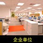 供应公司企业固定资产管理系统T2000E|孜尚网络