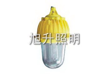 供应CBFC8130内场防爆灯