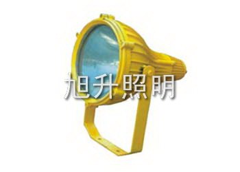 供应CBTC8210防爆投光灯