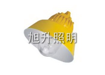 供应CBPC8700防爆平台灯